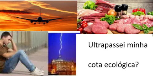 “Pecado Ecológico”, exame de consciência ambiental: a nova tirania dos Eco-terroristas?