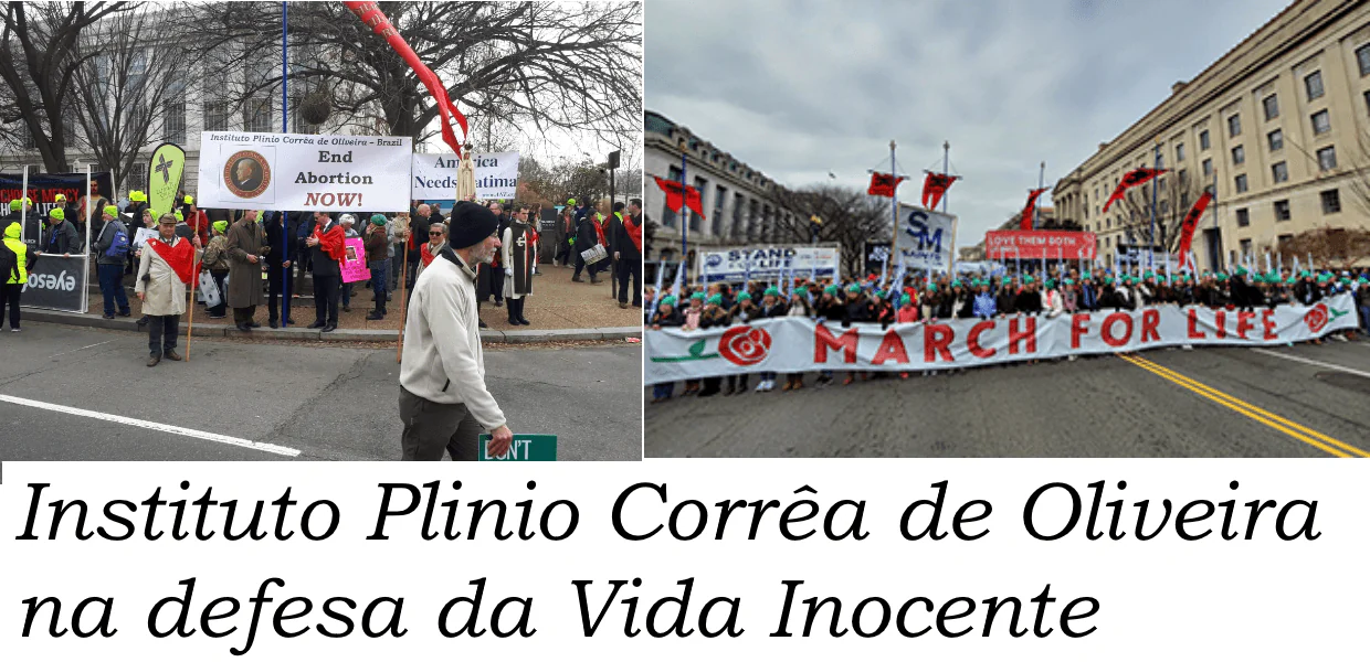 No momento, você está visualizando IPCO soma-se a meio milhão contra o Aborto, na Marcha pela Vida, em Washington
