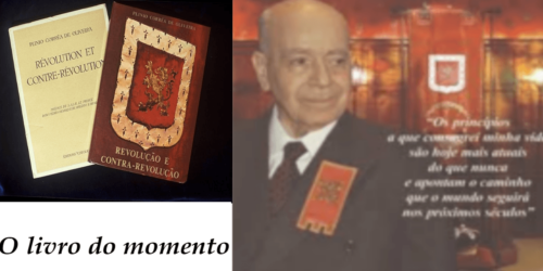 É possível entender a raiz de todos os males nesse século XXI? Combatê-los com êxito? Reconstruir o Brasil?