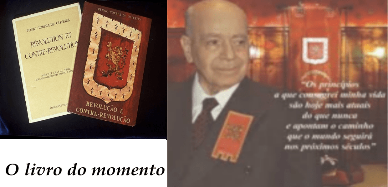 Leia mais sobre o artigo É possível entender a raiz de todos os males nesse século XXI? Combatê-los com êxito? Reconstruir o Brasil?
