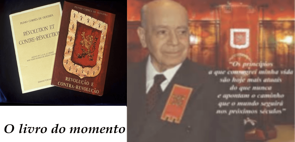 No momento, você está visualizando É possível entender a raiz de todos os males nesse século XXI? Combatê-los com êxito? Reconstruir o Brasil?