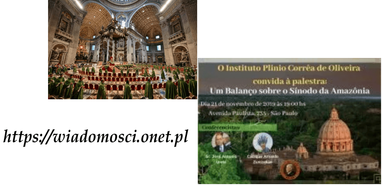No momento, você está visualizando Abolição do Celibato? Continua a repercutir (Polônia) nosso Site Pan Amazon Synod Watch