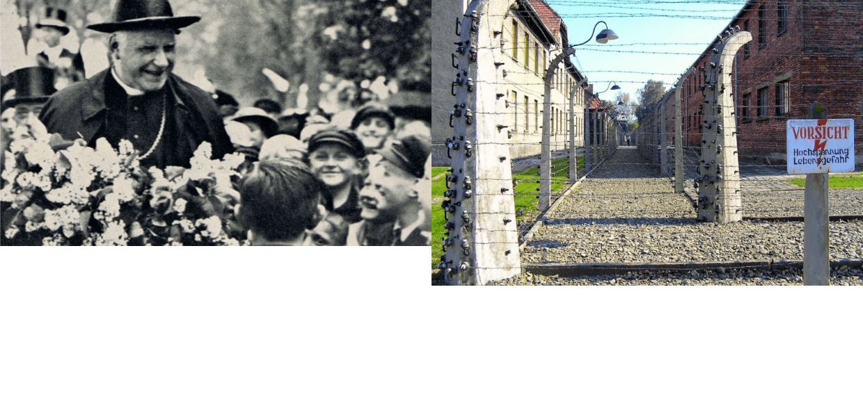No momento, você está visualizando Cardeal von Galen combateu a eutanásia na Alemanha nazista. O direito à vida