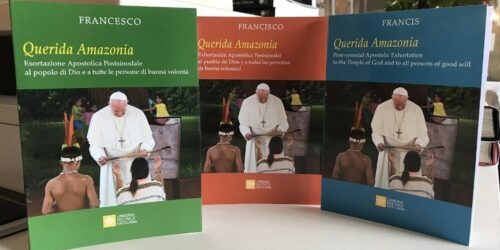 Resistindo aos graves erros da Exortação Apostólica Querida Amazônia do Papa Francisco