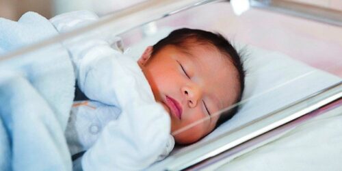 Comunicado de “Tradición y Acción” sobre o aborto