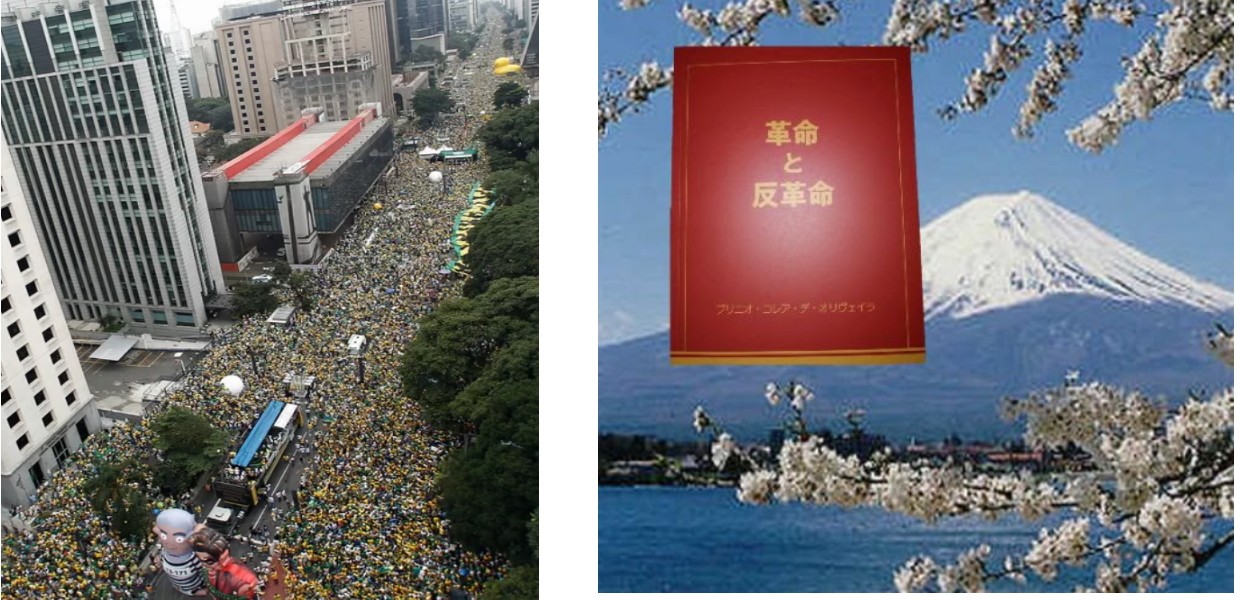 No momento, você está visualizando Revolução e Contra Revolução editado em japonês. O guia da reação conservadora