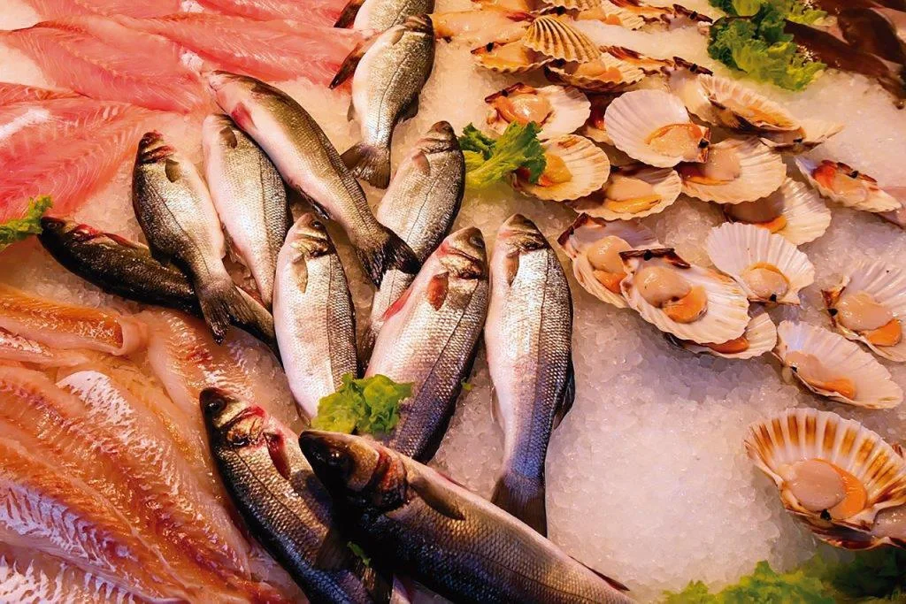 No momento, você está visualizando Com a abstinência de carne, a Igreja favorece o vegetarianismo? — Reposta do Pe. David Francisquini