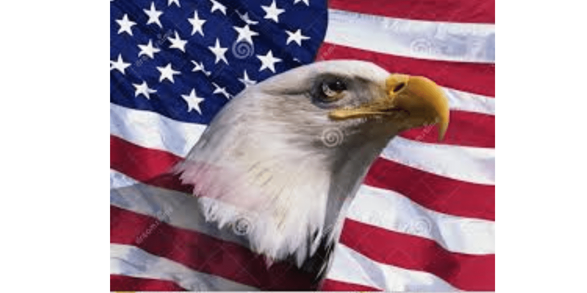 No momento, você está visualizando EUA ontem e hoje. A reação conservadora americana a partir de 1980
