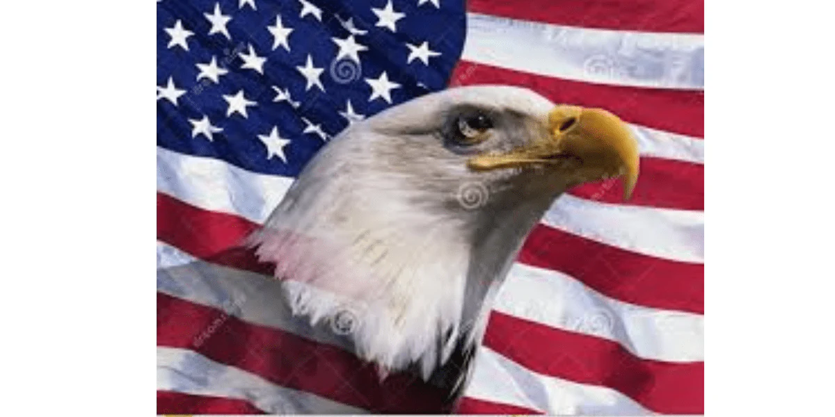 No momento, você está visualizando EUA ontem e hoje. A reação conservadora americana a partir de 1980