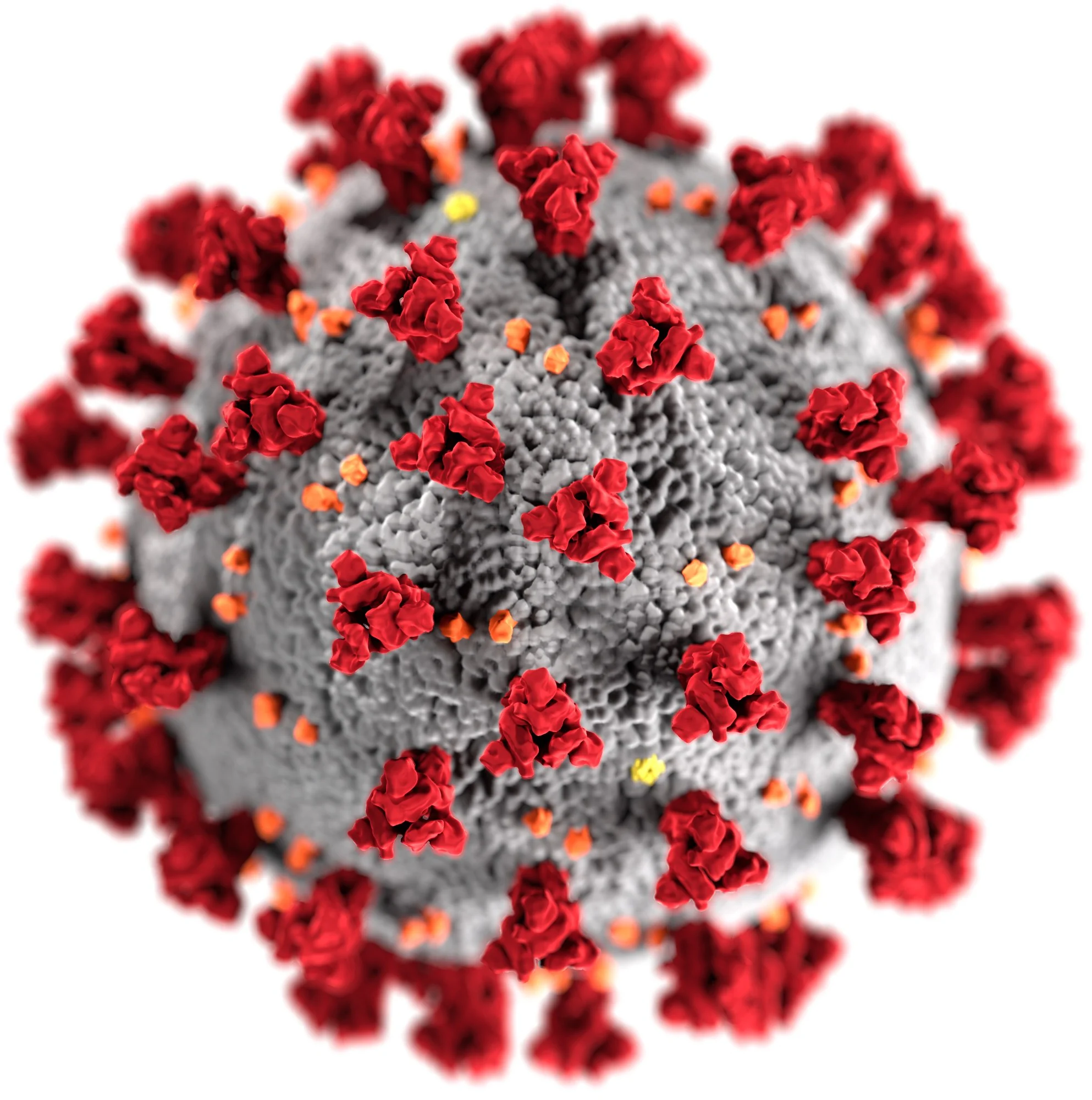 No momento, você está visualizando Epidemias e pandemias, ontem e hoje