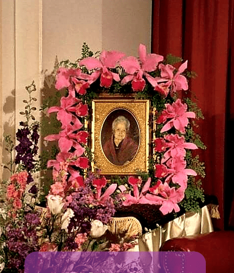 No momento, você está visualizando Um oásis de calma, serenidade e confiança nessa pandemia midiática. Missão do Brasil