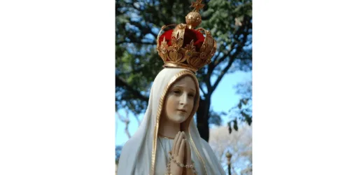Só Nossa Senhora pode dar alento, força e vitória à reação conservadora: maio 2020