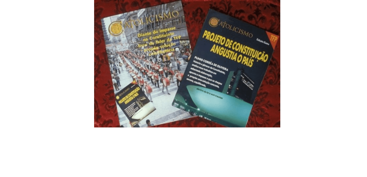 No momento, você está visualizando A estranha democracia-ditadura do Poder Legislativo