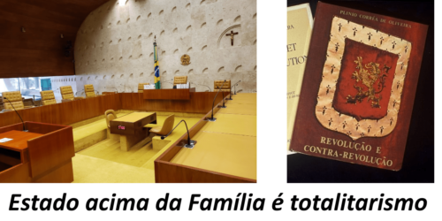 O vírus da igualdade, na decisão do STF, sobre Ideologia de Gênero. O direito dos pais é anterior ao Estado
