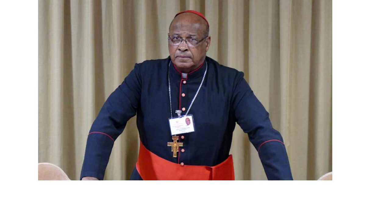 No momento, você está visualizando Cardeal Napier (africano) condena o Black Lives Matter, destruidor de civilizações