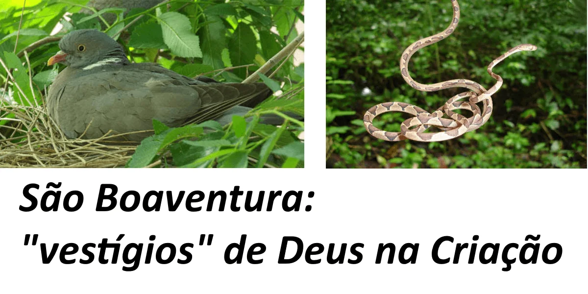 No momento, você está visualizando Simples como as pombas, prudentes como as serpentes (IV)