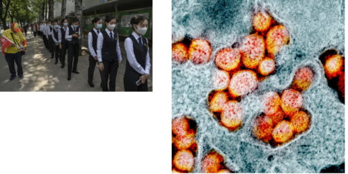 China procura as primeiras cobaias (humanas) para a vacina (não aprovada) do coronavírus
