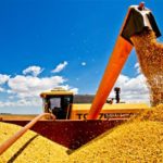 Brasil: a Arca de Noé do Século XXI?
