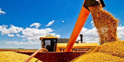 Brasil: a Arca de Noé do Século XXI?