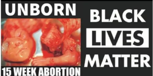 Black Lives Matter e Partido Democrata são pelo aborto de negros?