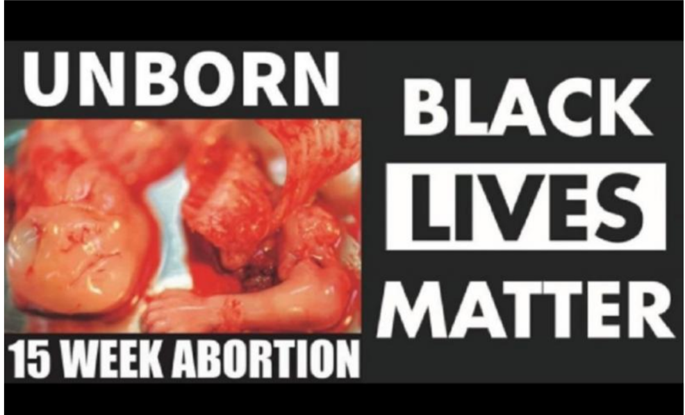 No momento, você está visualizando Black Lives Matter e Partido Democrata são pelo aborto de negros?
