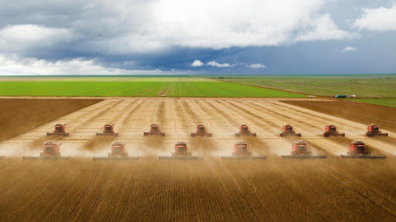 No momento, você está visualizando Brasil celeiro do mundo — PARTE I