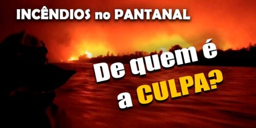 Pantanal em chamas por culpa da esquerda – O que dizem os fazendeiros silenciados?