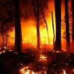 A verdade sobre os incêndios e queimadas
