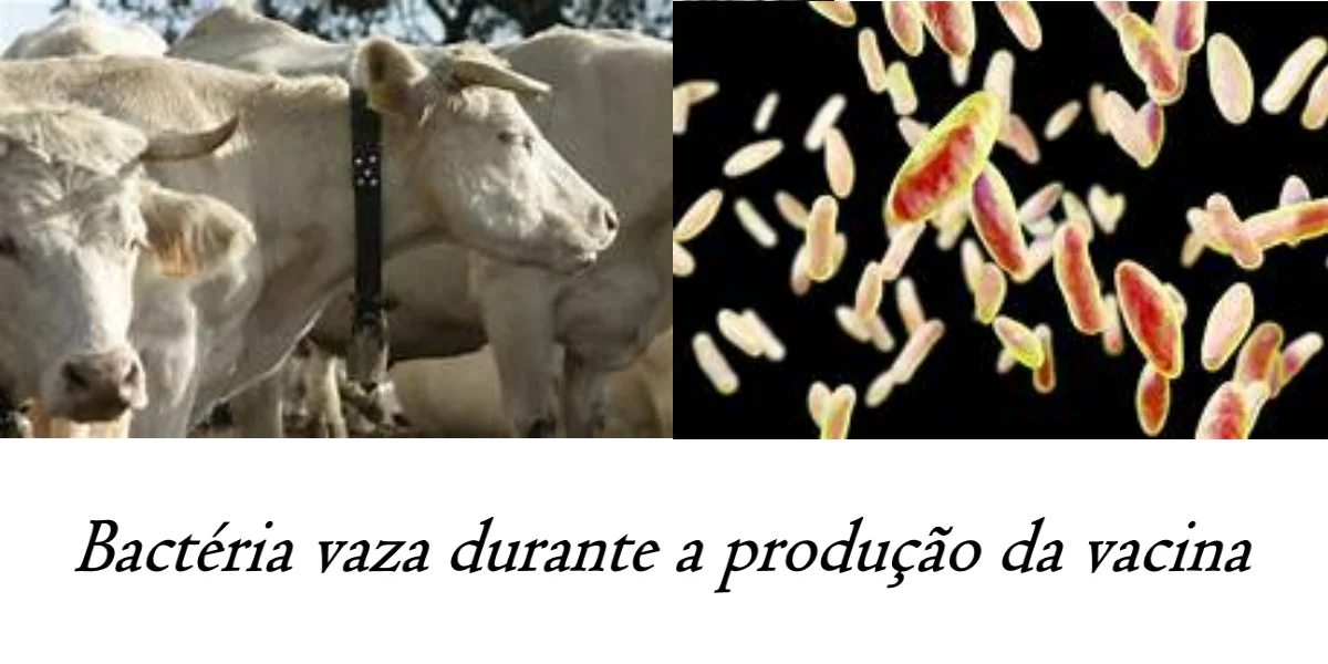 No momento, você está visualizando Útil aos que confiam na segurança e eficácia da biofarmacêutica (vacina) chinesa
