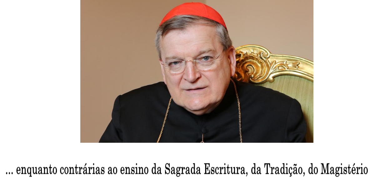 No momento, você está visualizando Cardeal Burke recorda o ensinamento católico sobre a homossexualidade