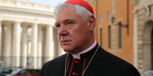Card. Müller sobre Francisco: «Tudo isto criou uma grande confusão»