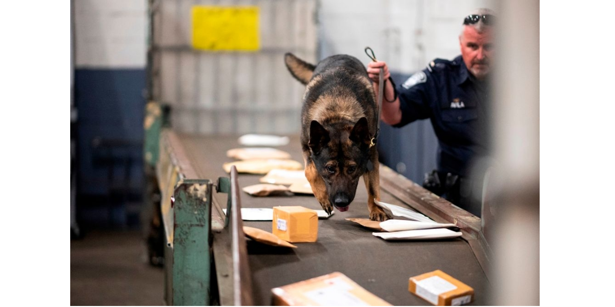 No momento, você está visualizando China (PCCh) mata americanos com (envio) fentanil. Alerta Brasil