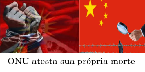 China, Rússia, Cuba no Conselho de Direitos Humanos da ONU? Previsão do Prof. Plinio