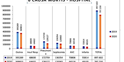 100 mil mortes (a menos) em hospitais em 2020