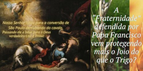 A “Fraternidade” defendida por Papa Francisco vem protegendo mais o Joio do que o Trigo?