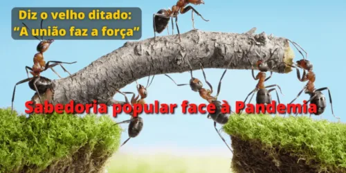 Sabedoria popular face à Pandemia: nos símbolos da Criação tirar os ensinamentos da ação