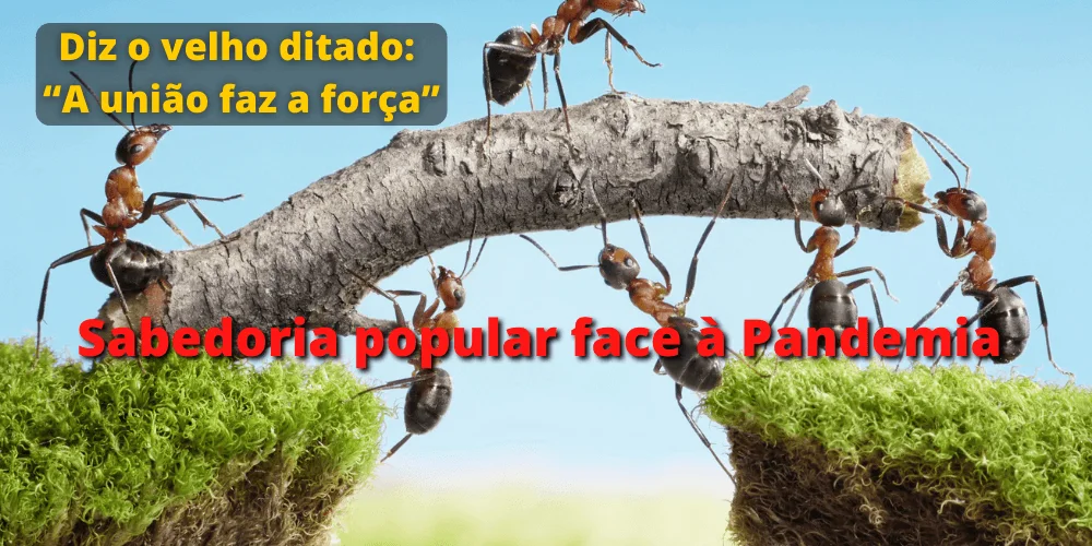 No momento, você está visualizando Sabedoria popular face à Pandemia: nos símbolos da Criação tirar os ensinamentos da ação