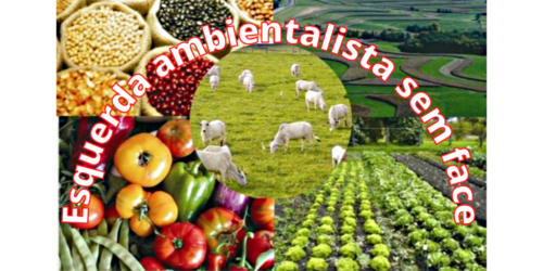 Agronegócio, modelo de sustentabilidade, produção, preservação: relatório das Nações Unidas
