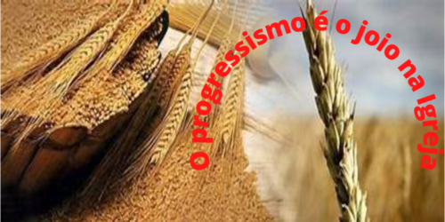 O Joio e o Trigo; o Progressismo e a Fidelidade