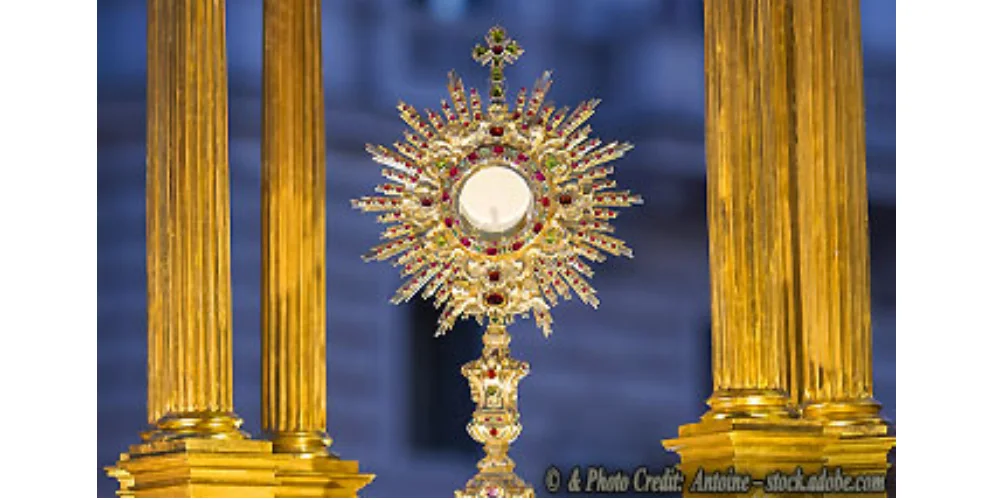 No momento, você está visualizando Papa Francisco, a Eucaristia é o “Pão dos pecadores”: Para a Igreja é o “Pão dos Anjos”