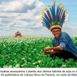 Ponto final nas demarcações de terras indígenas