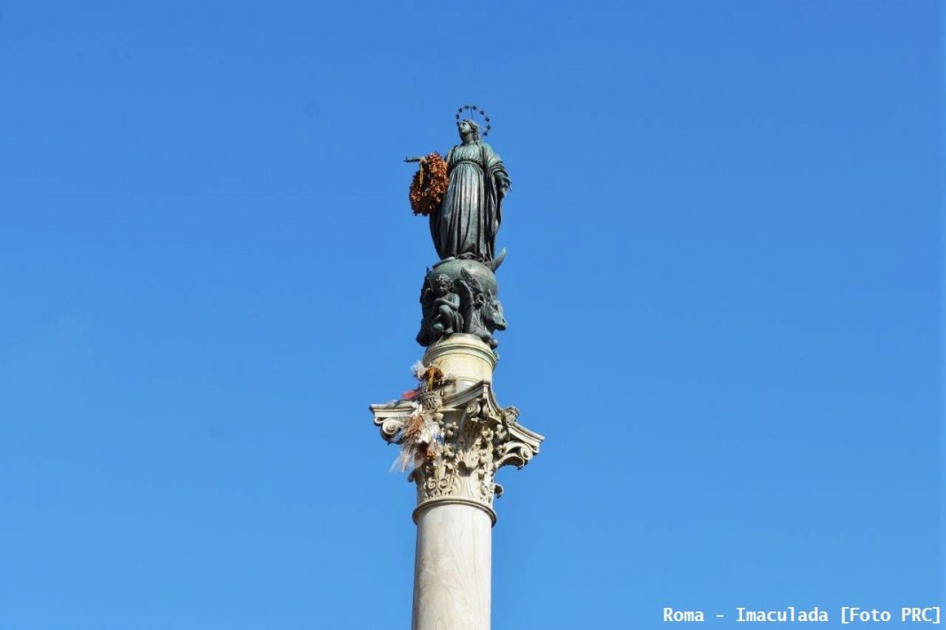 No momento, você está visualizando IMACULADA CONCEIÇÃO DE NOSSA SENHORA