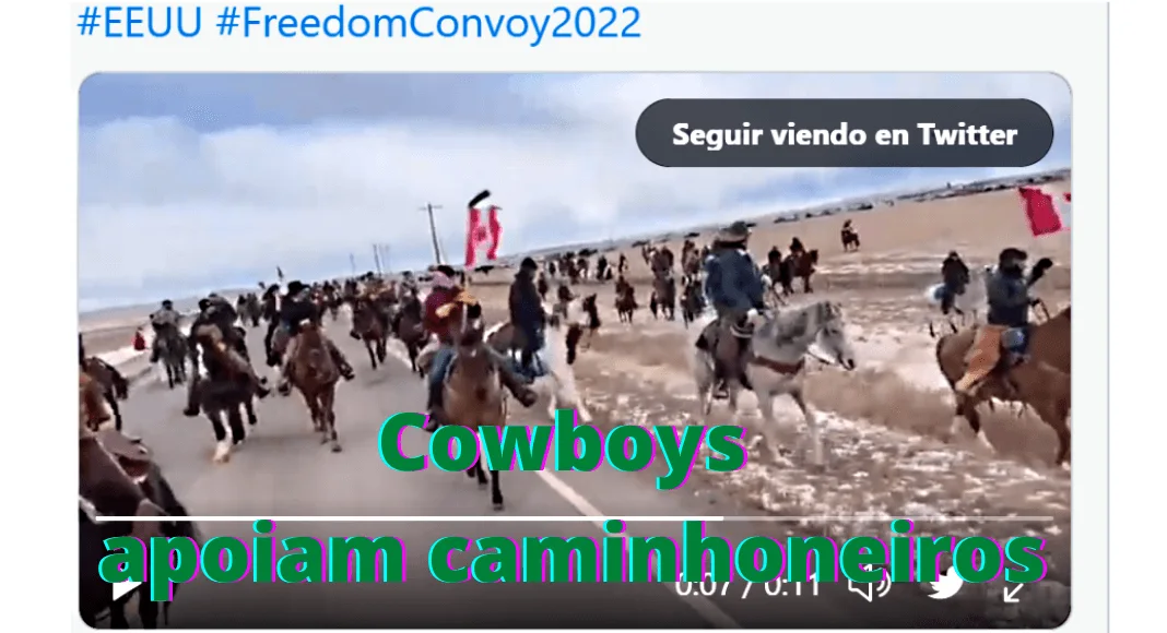 No momento, você está visualizando Liberdade Vs. Mandato de Vacina: uma lição dos caminhoneiros canadenses