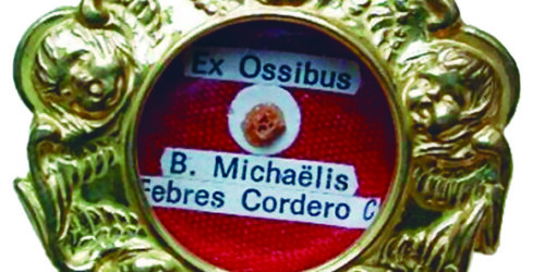 São Miguel Febres Cordero Muñoz