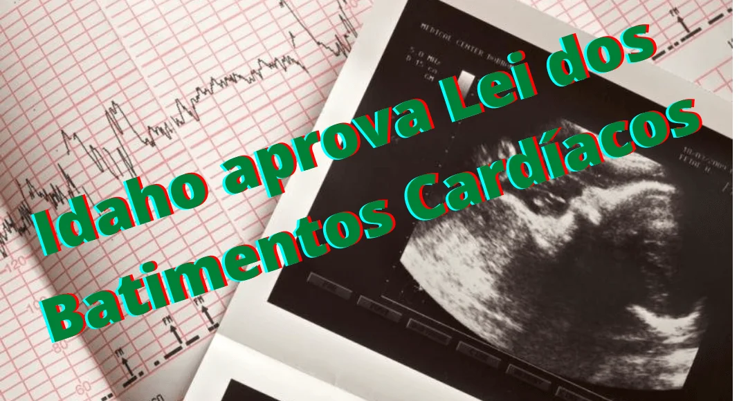 Leia mais sobre o artigo Idaho (EUA) aprova a Lei dos Batimentos Cardíacos (antiaborto)