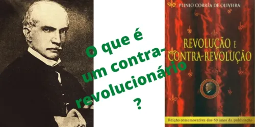 Formação (R-CR): O que é um contra-revolucionário?