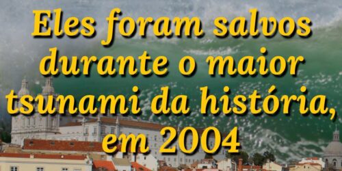 Eles foram salvos durante o maior tsunami da história, em 2004