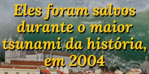 Eles foram salvos durante o maior tsunami da história, em 2004