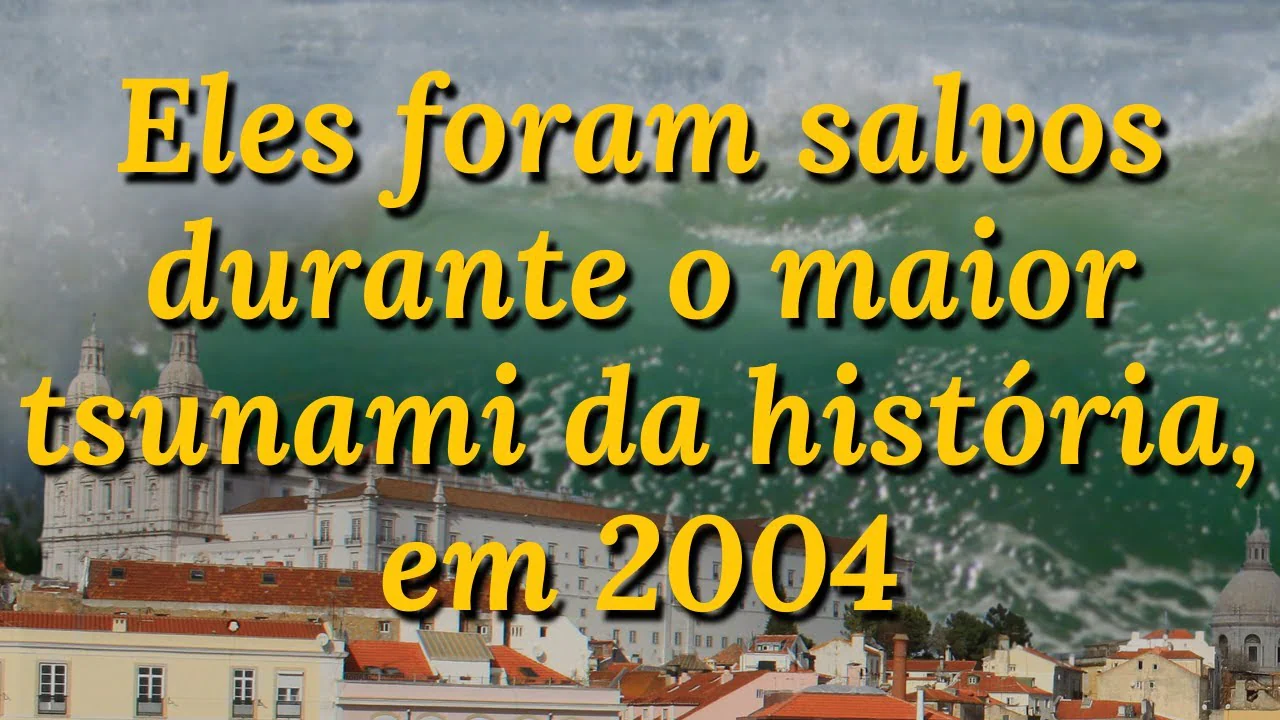 No momento, você está visualizando Eles foram salvos durante o maior tsunami da história, em 2004