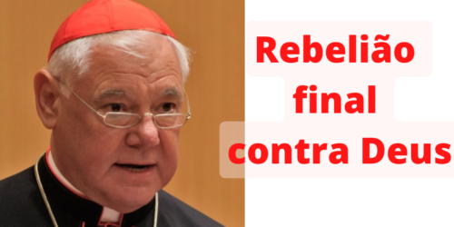 Cardeal Müller condena a ideologia transgênero